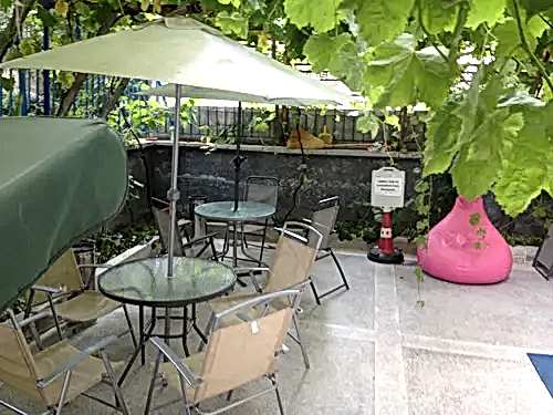 Crypto Dans Stüdyosu