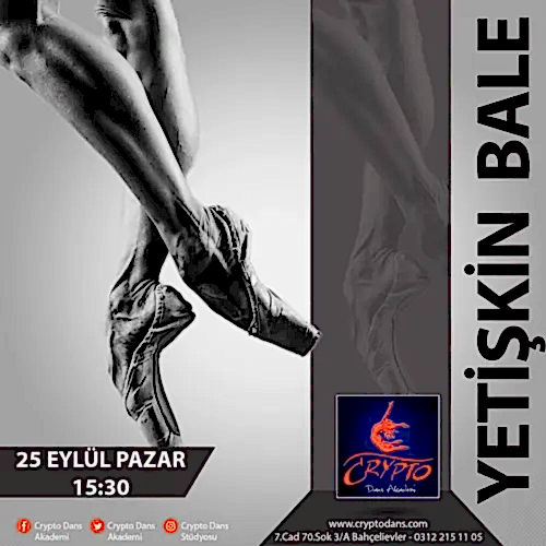 Crypto Dans Stüdyosu