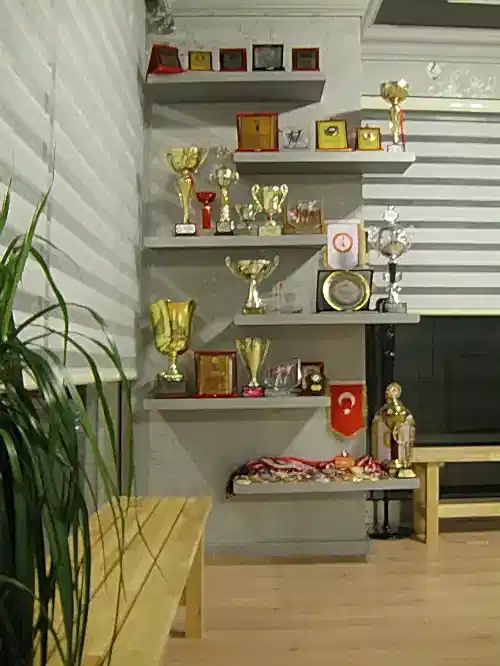 Crypto Dans Stüdyosu