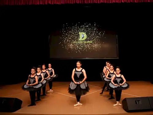 TC. MEB Düş Sanat Akademi - 4. Fotoğraf