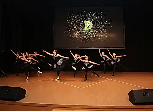 TC. MEB Düş Sanat Akademi