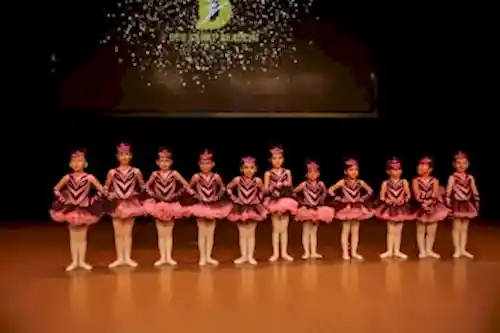 TC. MEB Düş Sanat Akademi