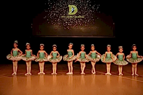 TC. MEB Düş Sanat Akademi