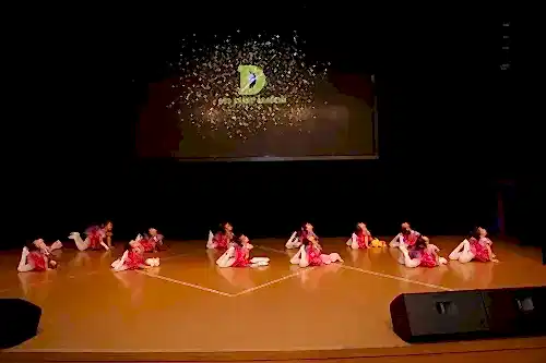 TC. MEB Düş Sanat Akademi