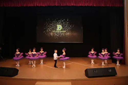 TC. MEB Düş Sanat Akademi