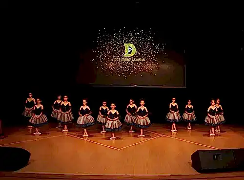TC. MEB Düş Sanat Akademi