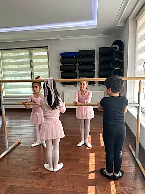 TC. MEB Düş Sanat Akademi